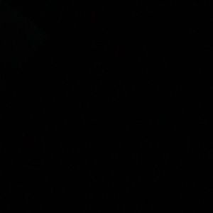 Meet your Posher, Rey